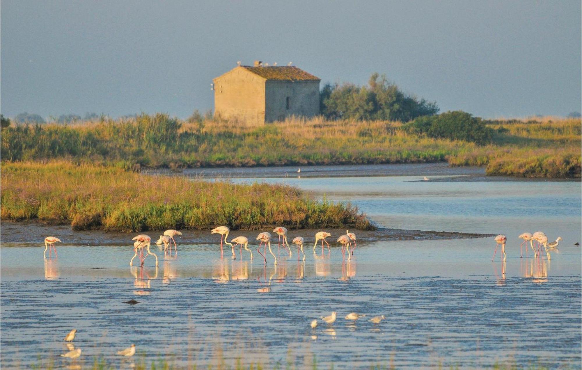 Ginestrino 11A Lägenhet Lido delle Nazioni Exteriör bild